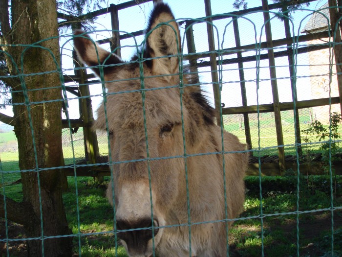 Photo de profil de miniglobule