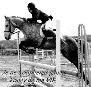 Photo de profil de biquette42