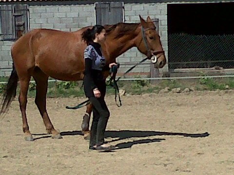 Photo de profil de stelle11