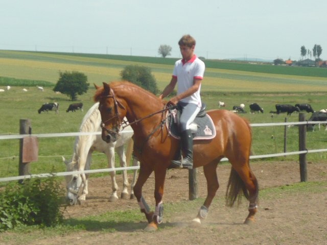 Photo de profil de hairmax