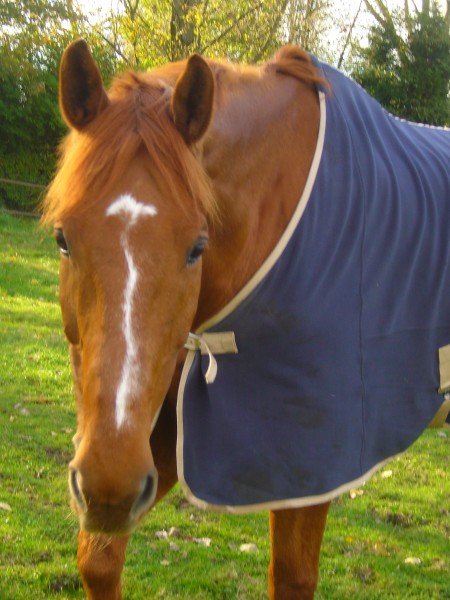 Photo de profil de yuki59