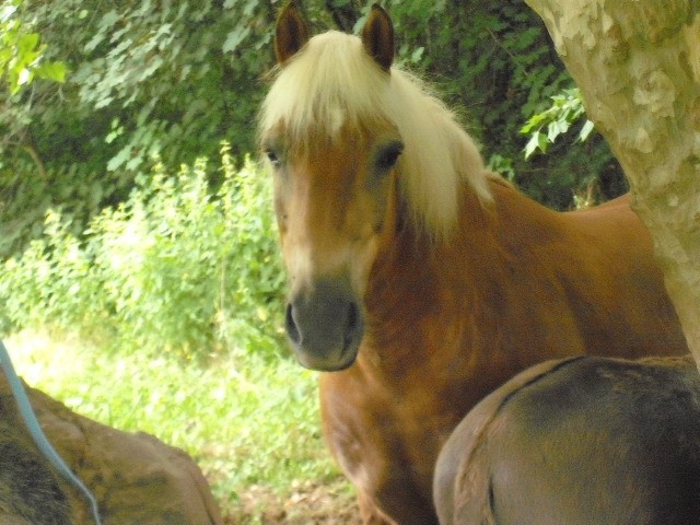 Photo de profil de gemius64