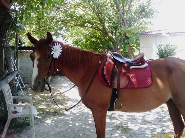 Photo de profil de piloux29