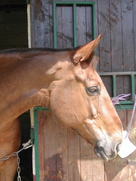 Photo de profil de astrid78