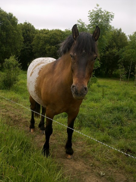 Photo de profil de fleurk