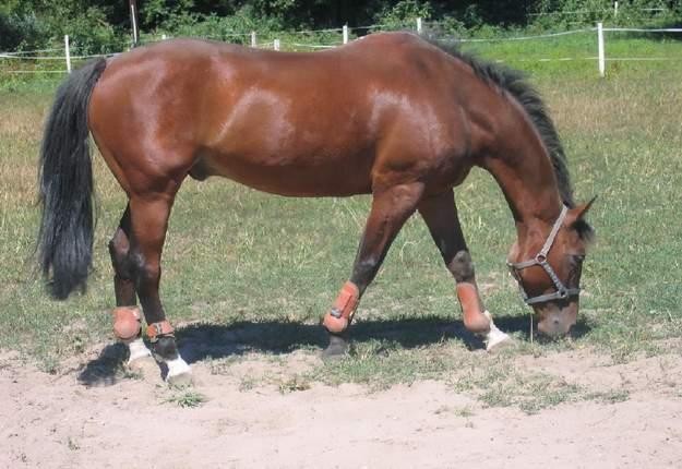 Photo de profil de chloney