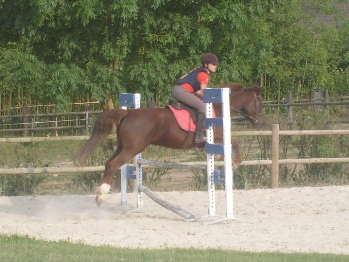 Photo de profil de materiel.equiin