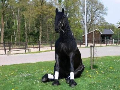 Photo de profil de indigo70