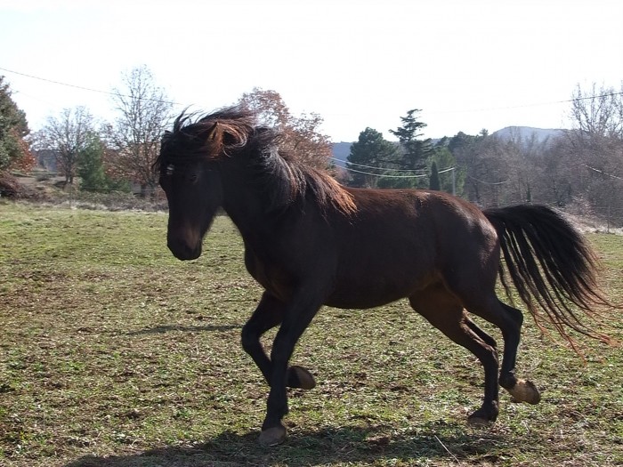 Photo de profil de reale