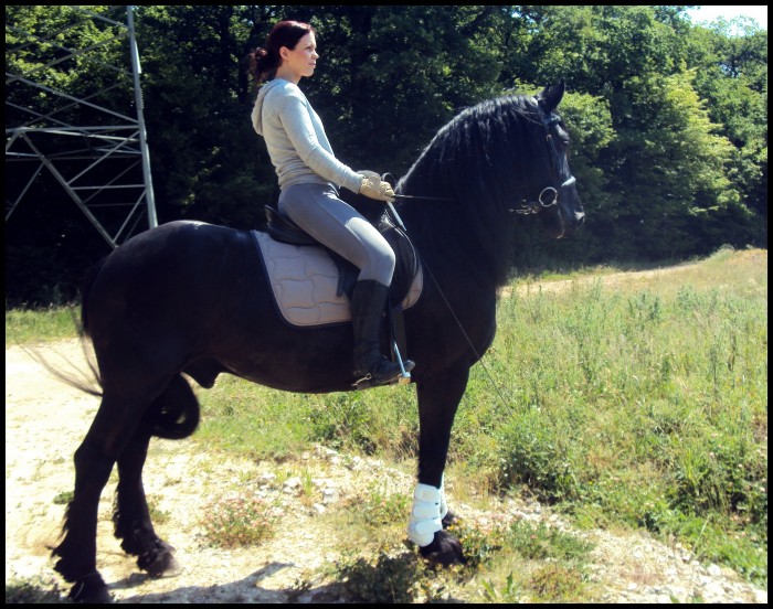 Photo de profil de christinel