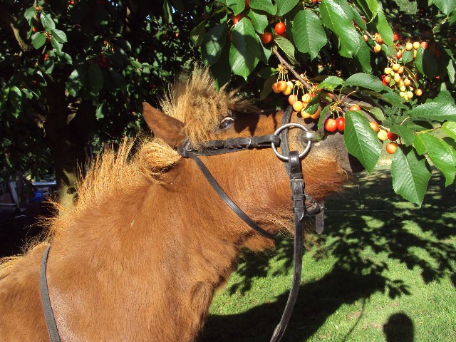 Photo de profil de estelle69360
