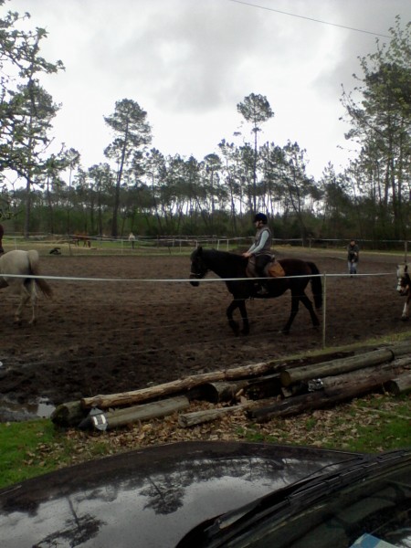 Photo de profil de chevauxsarah40