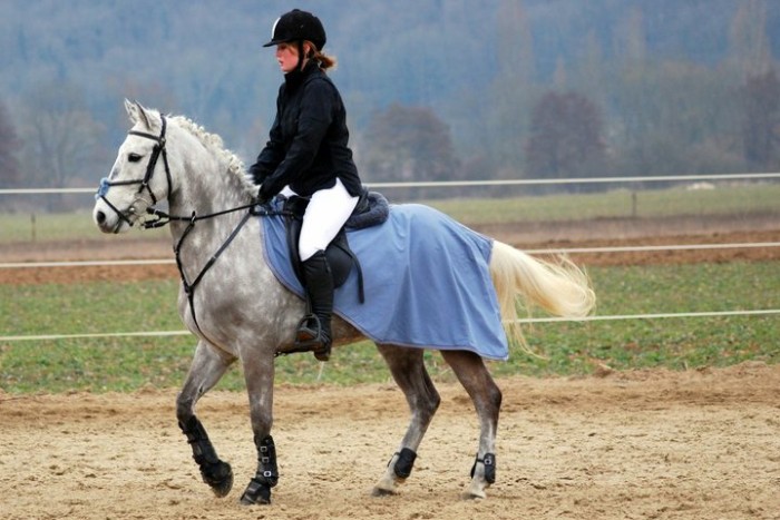 Photo de profil de maped