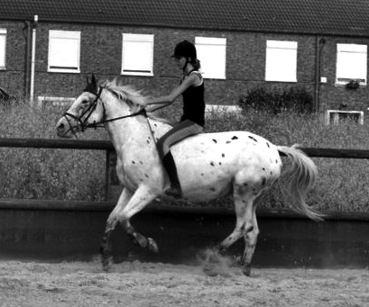 Photo de profil de camillecousin