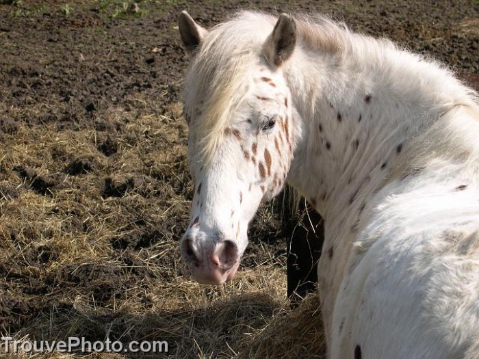 Photo de profil de madison123