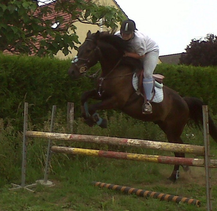 Photo de profil de sandy0288