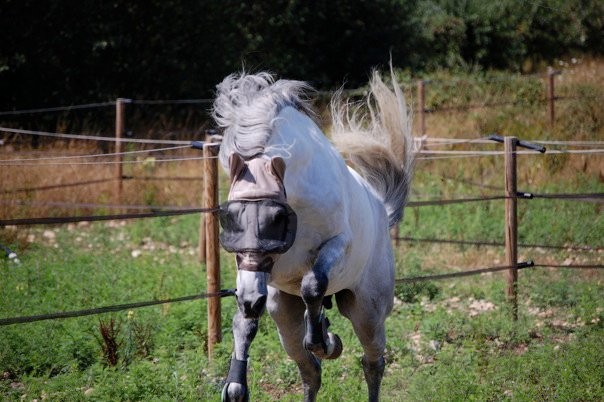 Photo de profil de jimboo