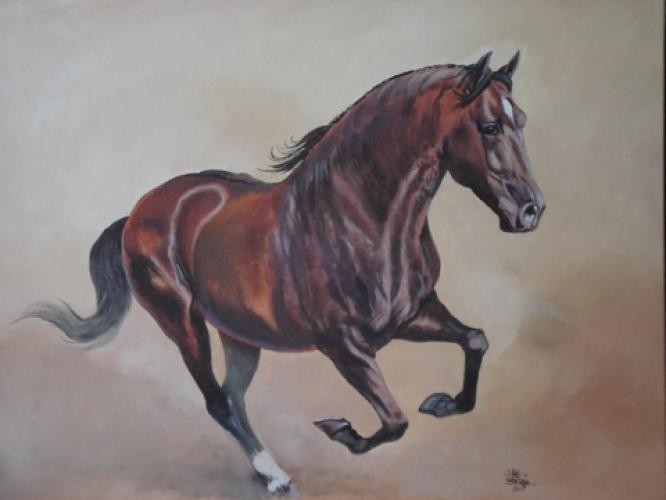 Photo de profil de lydelyloo