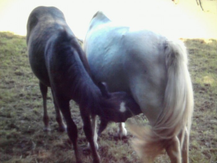 Photo de profil de nenes42