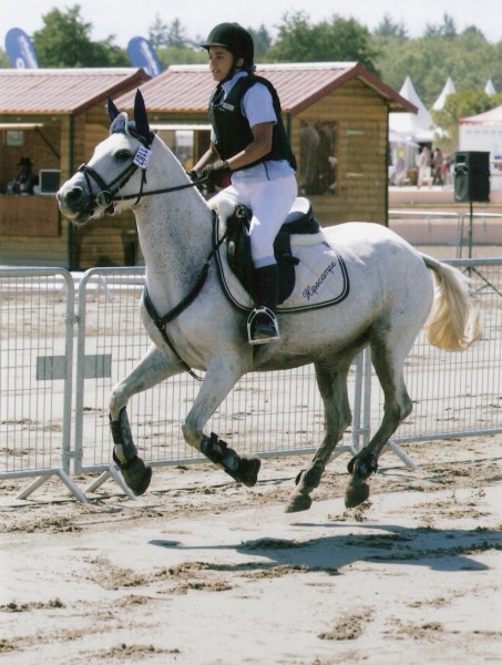 Photo de profil de galopaade