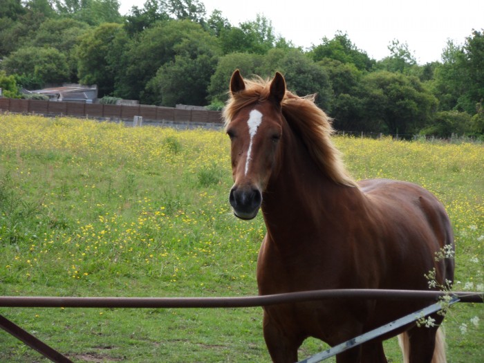 Photo de profil de prenseur