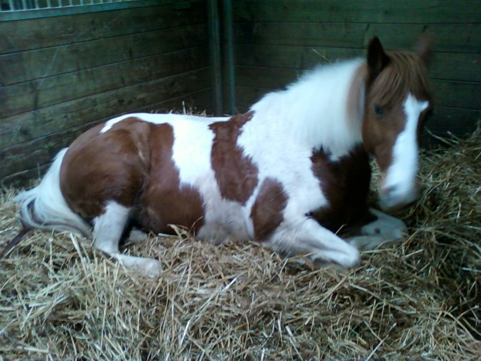 Photo de profil de jero51530