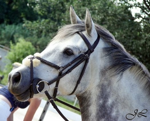 Photo de profil de riiver06