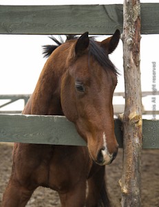 Photo de profil de quaelle