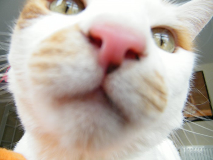 Photo de profil de oreafa