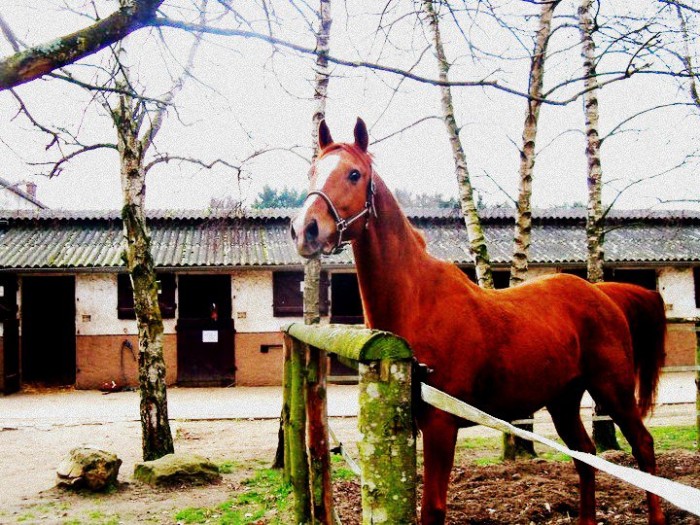 Photo de profil de friiiiiiiiends