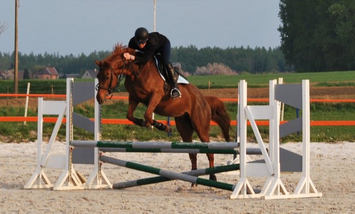 Photo de profil de jpcalo