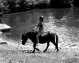 Photo de profil de yearling95