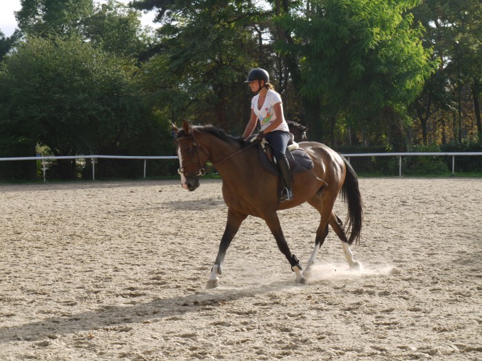 Photo de profil de laladada