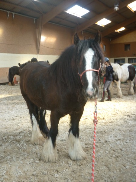 Photo de profil de blasmuse01