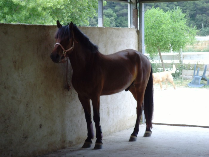 Photo de profil de lisarousset