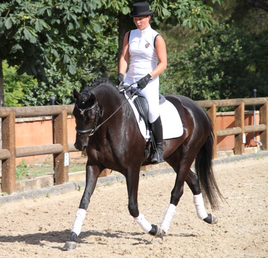 Photo de profil de cmcoach