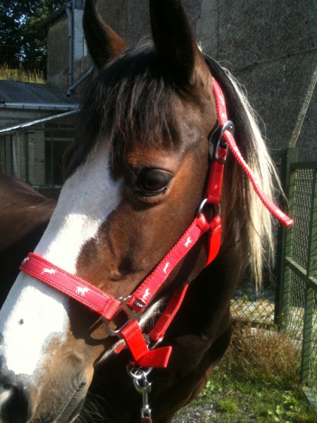 Photo de profil de mariechris