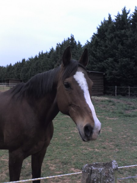 Photo de profil de babelle