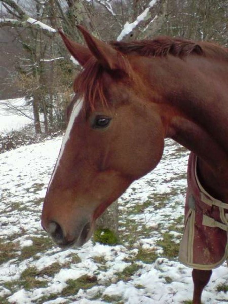 Photo de profil de jennifalco