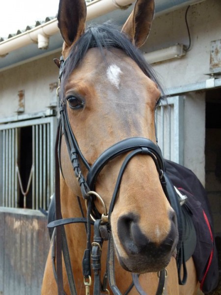 Photo de profil de queteusedavril