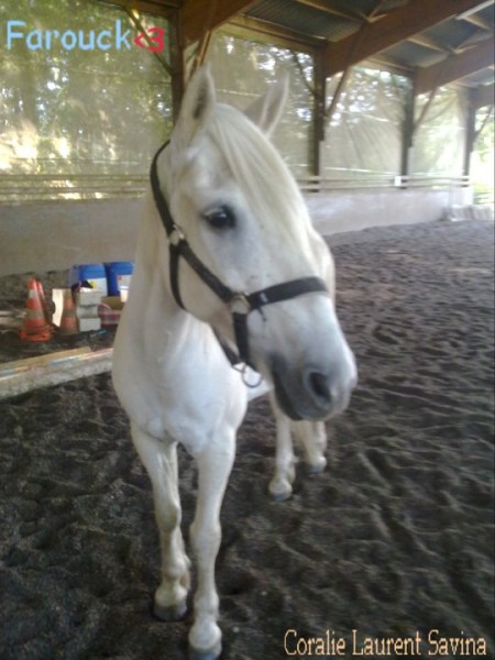 Photo de profil de lyloo44
