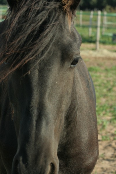 Photo de profil de mel971