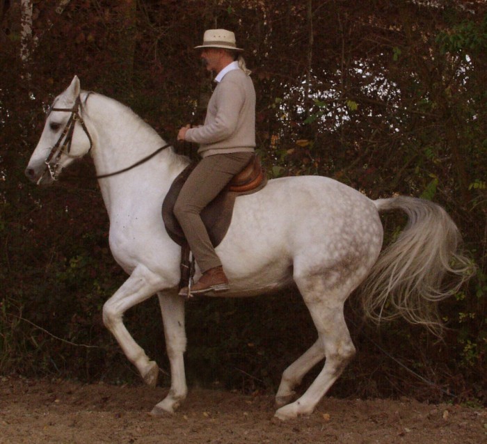 Photo de profil de daju