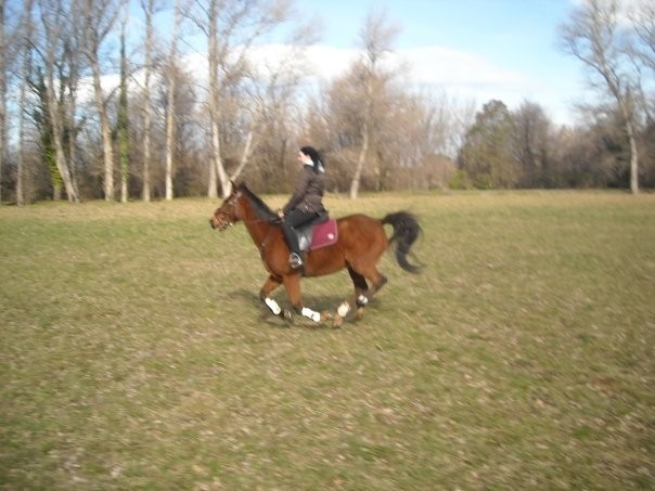 Photo de profil de marjorie66130