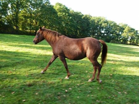 Photo de profil de looten