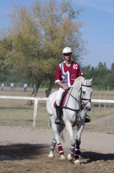 Photo de profil de merlin02