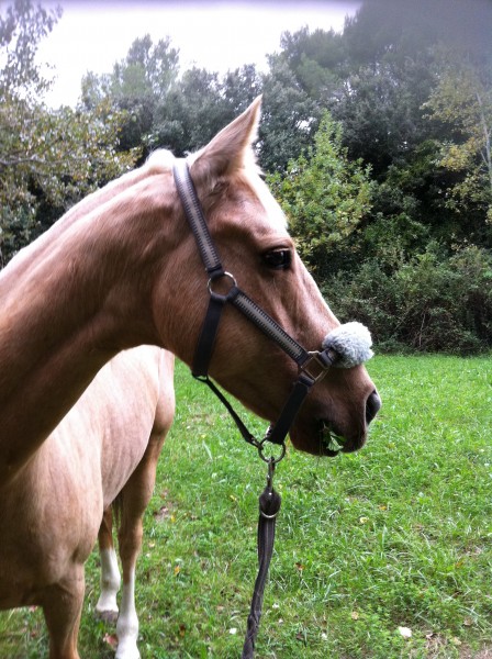 Photo de profil de souchette13