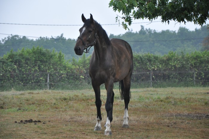 Photo de profil de sergeetkat