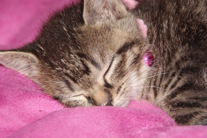 Photo de profil de ra959