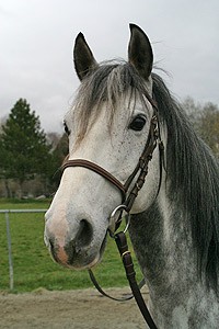 Photo de profil de gegimann